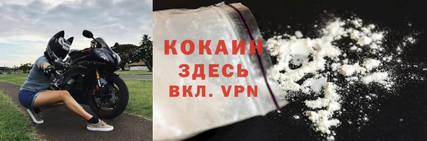 дживик Верхний Тагил