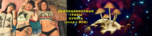 спиды Верея
