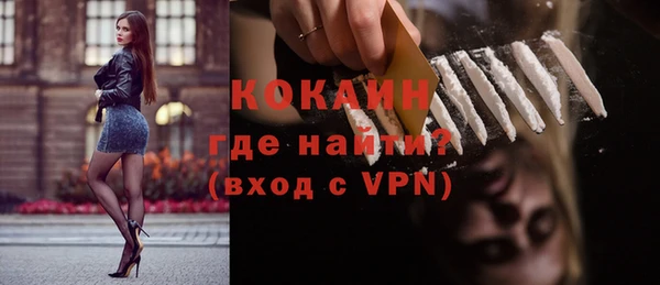 дживик Верхний Тагил