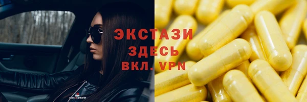 дживик Верхний Тагил