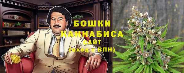 дживик Верхний Тагил