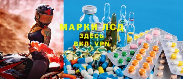 дживик Верхний Тагил