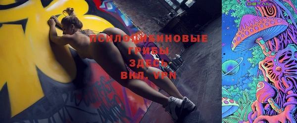 спиды Верея