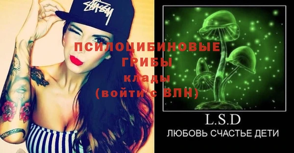 дживик Верхний Тагил