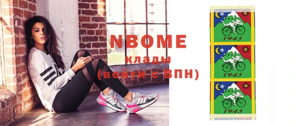 дживик Верхний Тагил