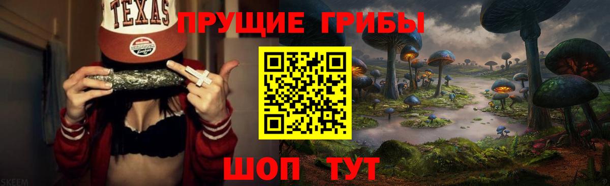 Можайск  цена   Вход с VPN  Галлюциногенные грибы GOLDEN TEACHER 
